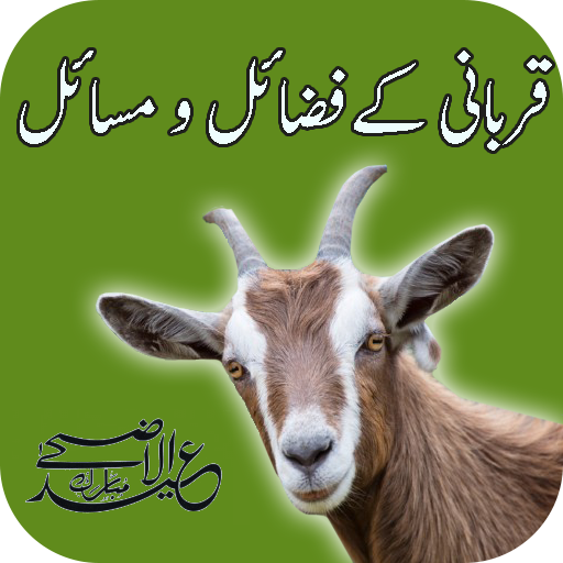 Eid Ul Adha Qurbani Guide Fazail O Masail