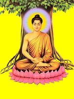 Kinh Phật Học Plakat