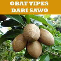 Tips Obat Tipes Alami 截图 1