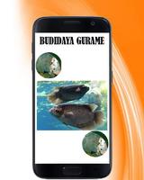 Budidaya Gurame screenshot 2