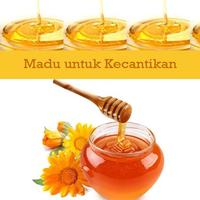 Manfaat Madu ภาพหน้าจอ 3