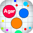 Pocket Agar أيقونة