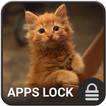 Cat App Lock Theme