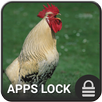 Cock App Lock Theme APK