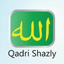 qadrishazly APK