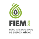 APK e-FIEM