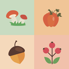 Frutas y Verduras de Otoño icône