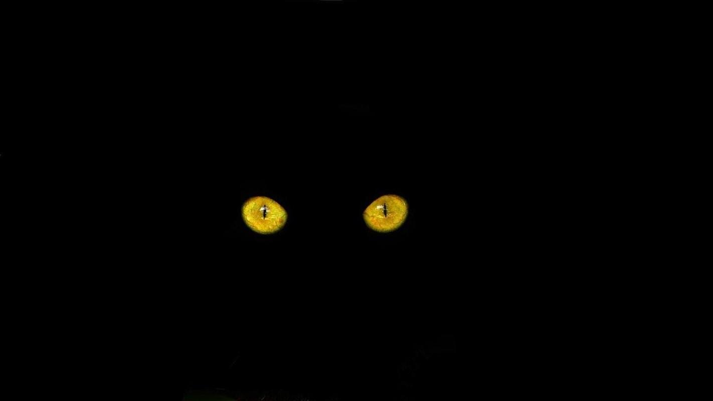 Black Wallpaper Full HD for Android APK Download