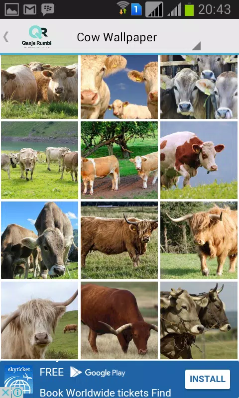 Descarga de APK de Fondo de Pantalla de Vaca para Android Descarga de APK de Fondo de Pantalla de Vaca para Android