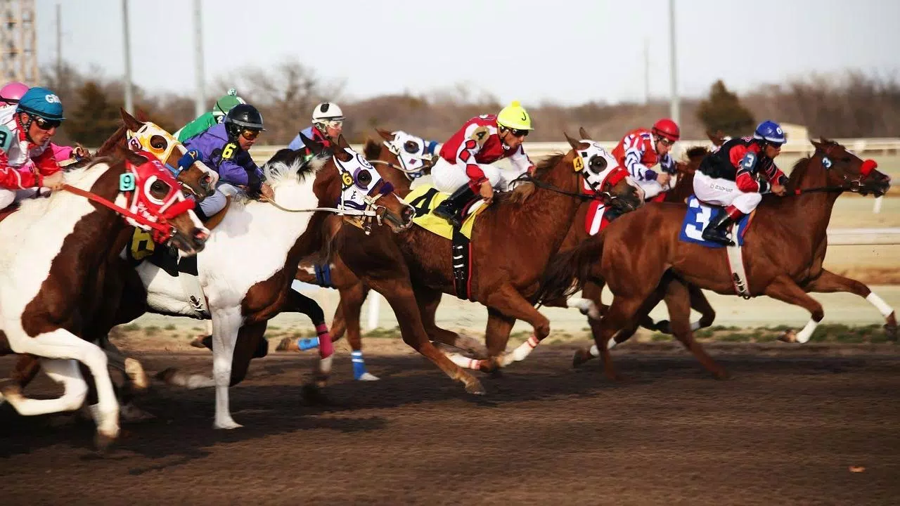 下載horse Racing Wallpaper的安卓版本