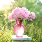 Flower Vase Wallpaper icono