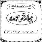 Bahar e Shariat-icoon