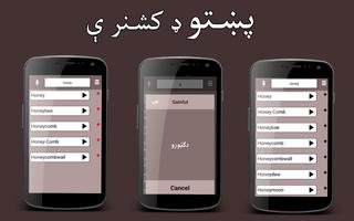 Pashto Dictionary capture d'écran 3