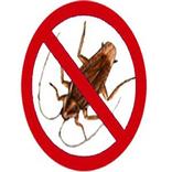 ქართული თამაში