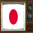 Satellite Japan Info TV