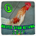 Master Ayam Ketawa Lengkap