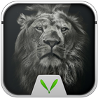Lion Live Locker Theme icon