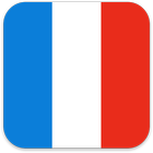 360 Launcher French Language icône