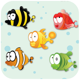 Feeding frenzy - Fish