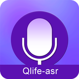 Qlife Recorder icon