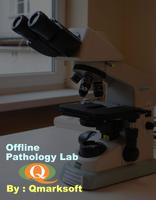 Pathology Lab Qmarksoft poster