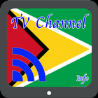 TV Guyana Info Channel icône