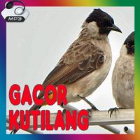 Master Burung Kutilang Gacor poster