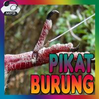 Pikat Burung Wak Wak Terbaru Affiche