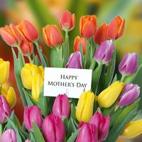 Mother's Day Flower Cards постер