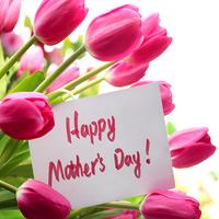 Mother's Day Flower Cards скриншот 2