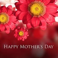 3 Schermata Mother's Day Flower Cards
