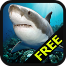 Shark Survivor APK