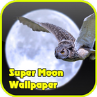 Super Moon Wallpaper ikon