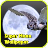 Super Moon Wallpaper biểu tượng