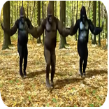 زلزلة مع رقص القرود 2018