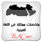 اللغة العربية ملخص ممتاز BAC-icoon