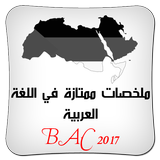 اللغة العربية ملخص ممتاز BAC icône