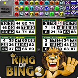 King of Bingo - Video Bingo