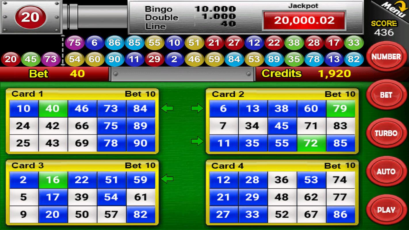Bingo extra casino bingo
