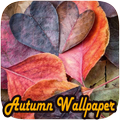 Beautiful Nature Autumn