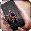 ”Spider on Screen