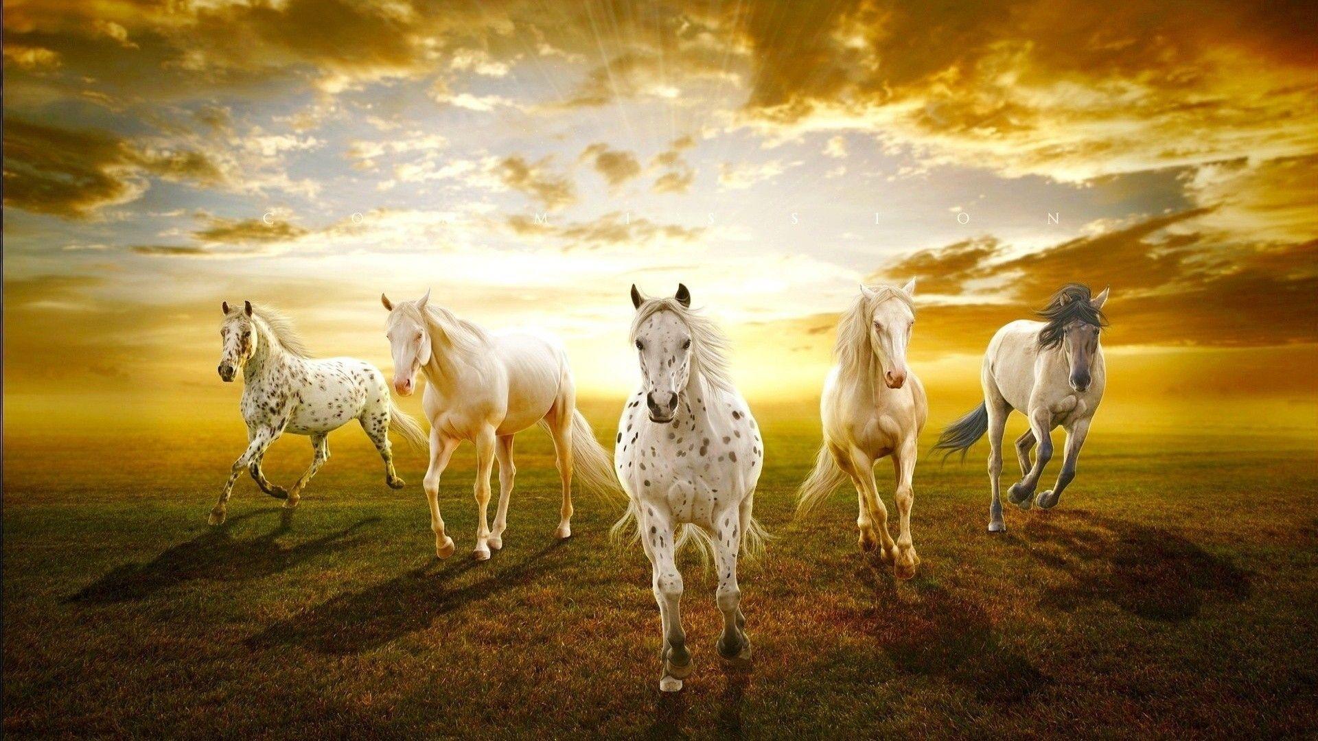 Seven Horses Wallpaper 7 APK for Android Download Seven Horses Wallpaper 7 APK for Android Download