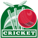 Cricket Manager 13-APK