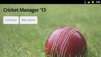 Cricket Manager 13 Affiche