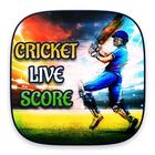 آیکون‌ Live Cricket Score