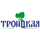 Icona Троицкая