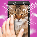 Pat the cat anti-stress purring  simulator-APK