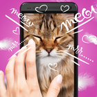 Pat the cat anti-stress purring  simulator أيقونة