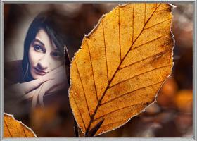 Leaf Photo Frames Affiche