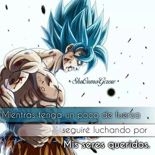 Frases Dragon Ball APK for Android Download